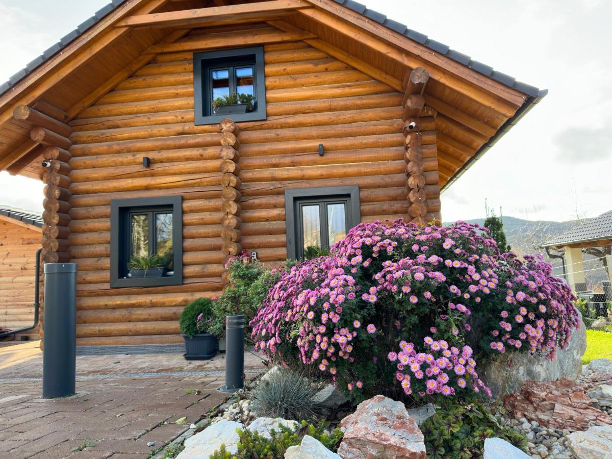 Roenk Relax Apartment Mişcolţ Exterior foto